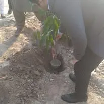 Green Seekers Activity